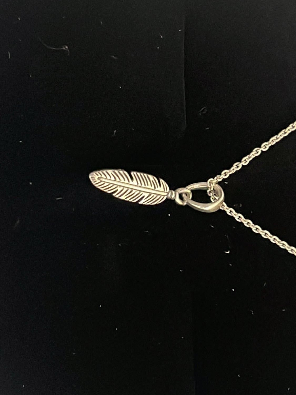 Pandora Silver Feather Charm Necklace with Delicate Chain - Picture 2 of 4